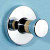 Chrome & Beech Hook