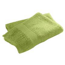 Wenko Terry Cotton Hand Towel - 500 x 1000mm - Light Green - 19571100