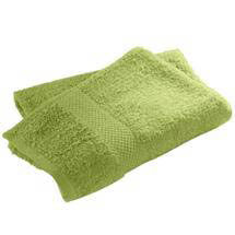 Wenko Terry Cotton Shower Towel - 700 x 1400mm - Light Green - 19574100