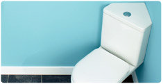 Corner Toilets