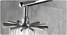 Designer Showers