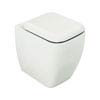 RAK Metropolitan Back to Wall Pan & Toilet Seat