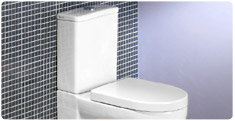 Modern Toilets