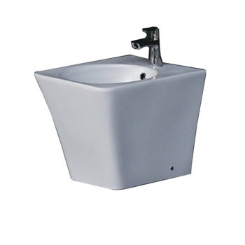 Rak Opulence Bidet with Porcelain Waste - White