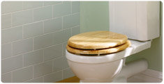 Traditional Toilets