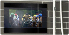 Waterproof TVs