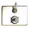 Beaumont Antique Gold Twin Thermostatic Shower Valve