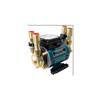 Watermill BP65D Twin Impeller, Heavy Duty Brass 2 Bar Shower Pump