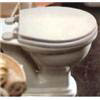 Castle Thermoset Toilet Seat with Adjustable Hinges - White