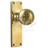Polished Solid Brass Round Door Knob on Back Plate