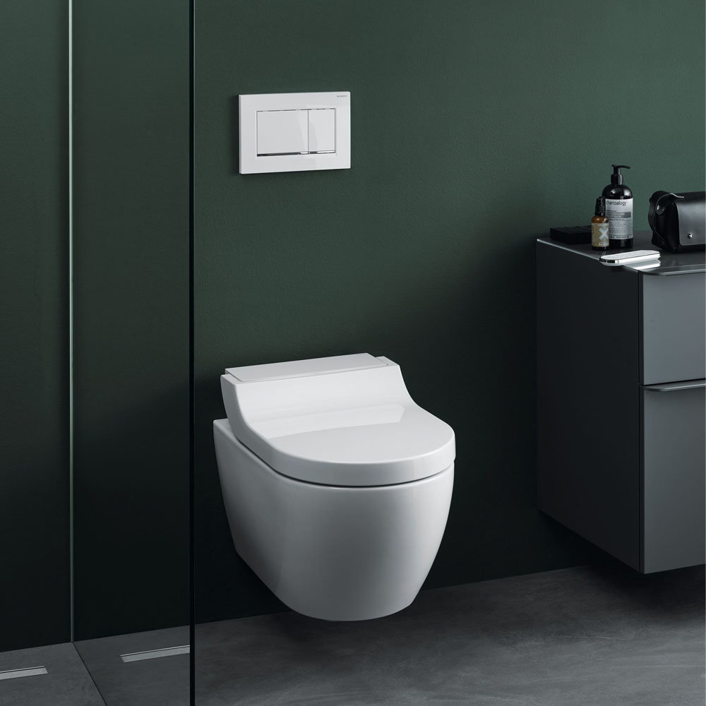 Geberit Sigma Dual Flush Plate Victorian Plumbing