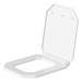 Duravit Series 1930 Soft Close Toilet Seat - 0064890000 profile small image view 2 