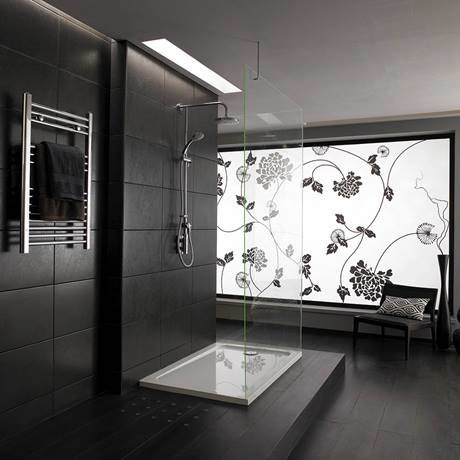 mira miniluxe with diverter