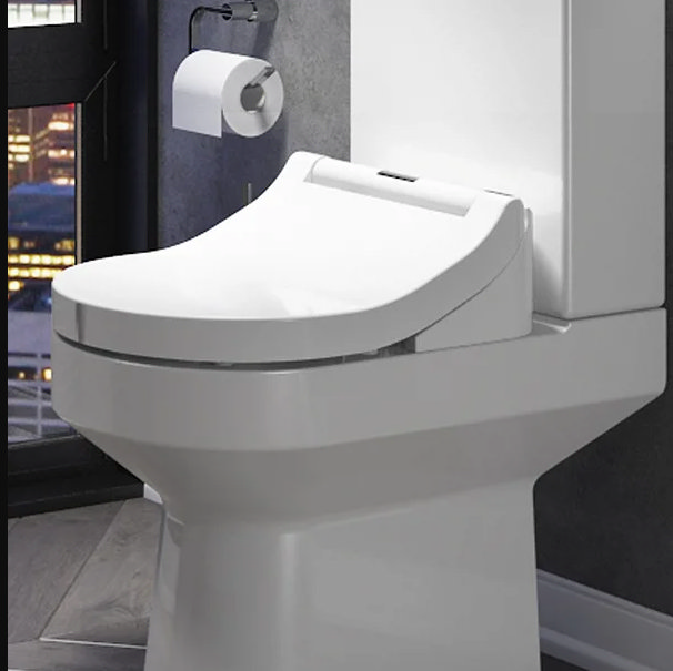 Smart bidet toilet