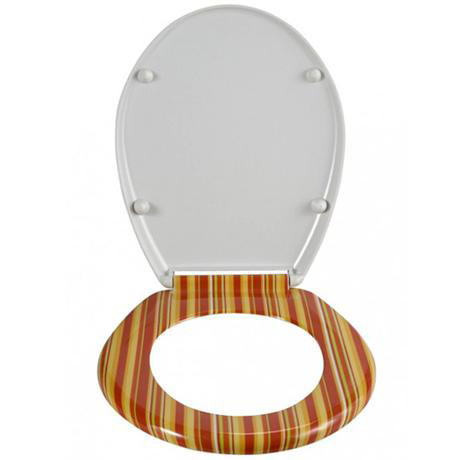 pinstriped toilet seat