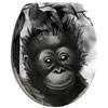 Wenko Monkey Duroplast Toilet Seat - 18796100 profile small image view 1 