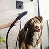 hansgrohe DogShower 3-Spray Dog Shower Handset - Matt Black profile small image view 1 