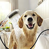 hansgrohe DogShower 3-Spray Dog Shower Handset - Matt White profile small image view 1 