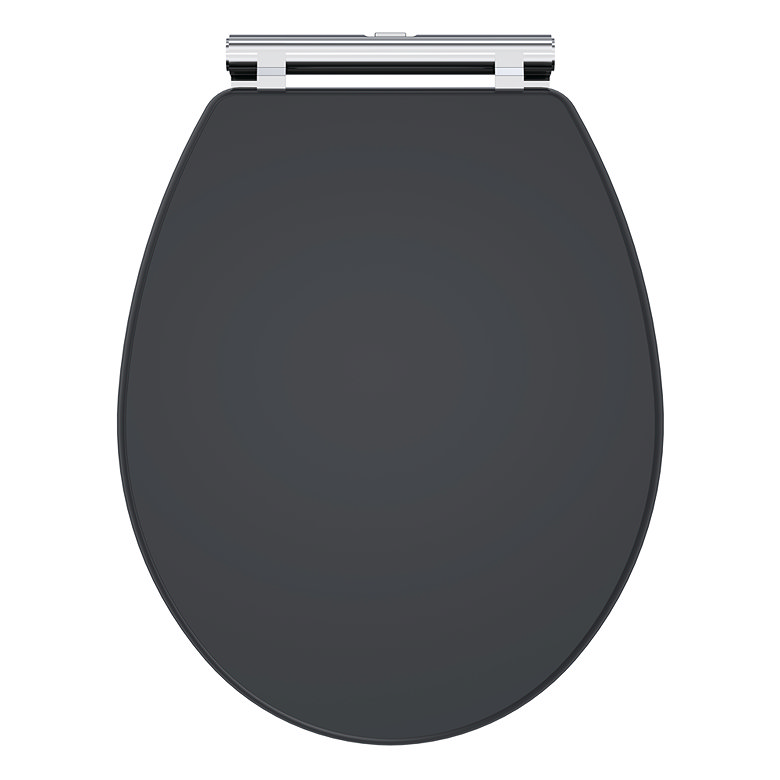 anthracite rounded toilet seat