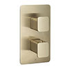JTP Hix Brushed Brass Twin Outlet Thermostatic Concealed Shower Valve profile small image view 1 