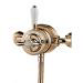 Aqualisa - Aquatique Thermo Exposed Thermostatic Valve with Slide Rail Kit - Gold - 500.10.04-561.04 profile small image view 2 