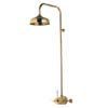 Aqualisa - Aquatique Thermo Exposed Thermostatic Valve with 8" Drencher Head & Riser Rail - Gold - 500.10.04-581.04 profile small image view 1 