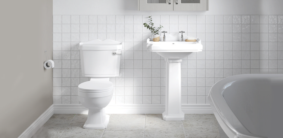 Why Do We Say Loo: The Stories Behind Toilet Terminology