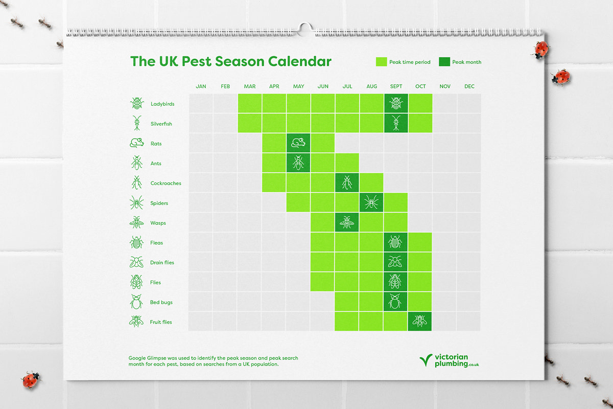 uk calendar of common household pest peaks