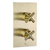 JTP Solex Brushed Brass Twin Outlet Thermostatic Concealed Shower Valve profile small image view 1 