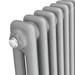 Keswick Grey 600 x 1010mm Cast Iron Style Traditional 2 Column Radiator profile small image view 2 