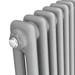 Keswick Grey 600 x 592mm Cast Iron Style Traditional 2 Column Radiator profile small image view 2 