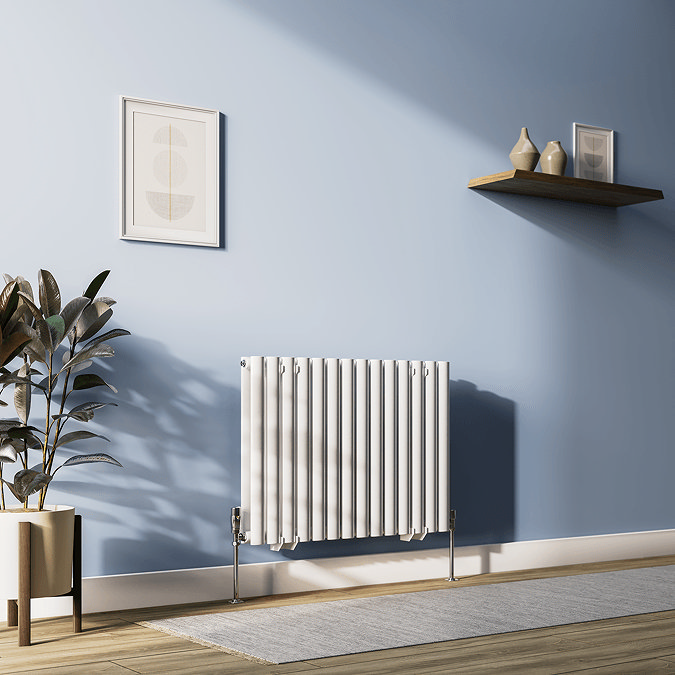 White panel radiator mounted on light blue wall with potted plant and picture