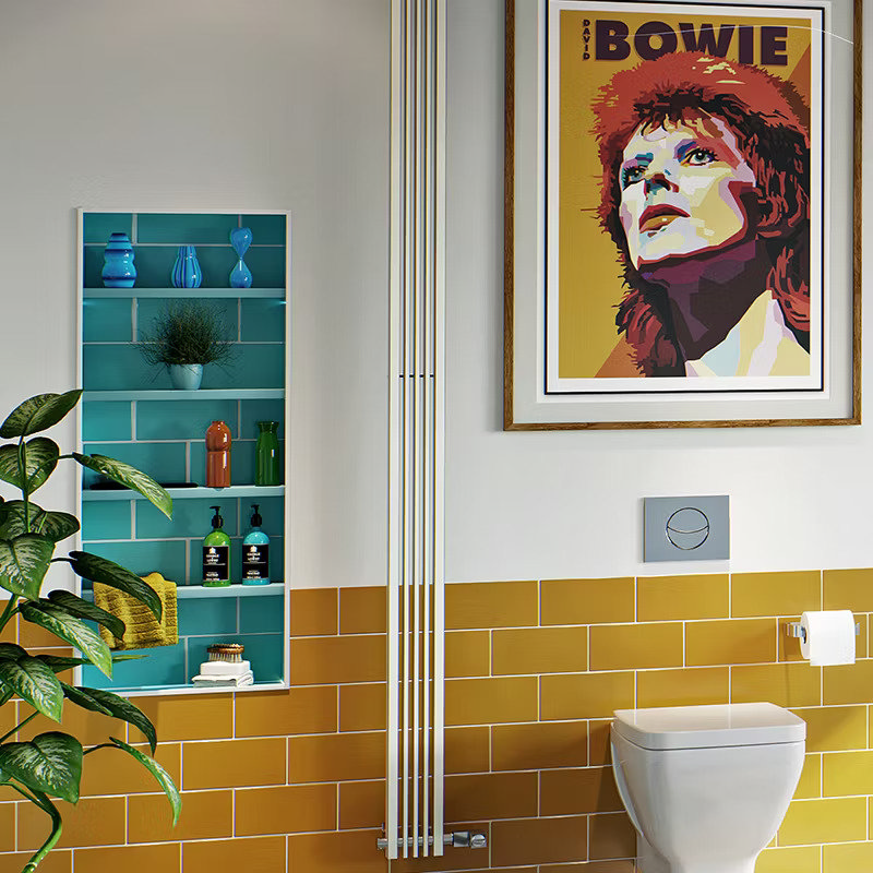 David Bowie poster in bathroom