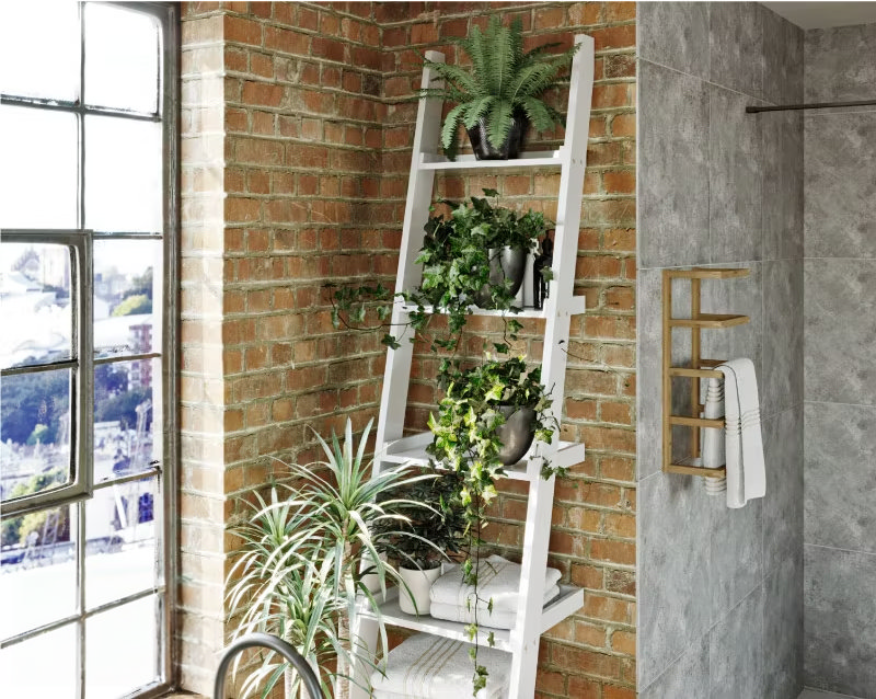 ladder and shelving to support bathroom plants