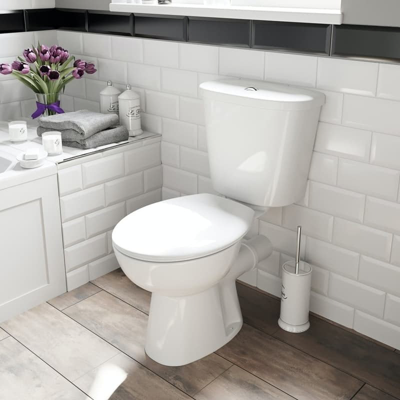 Conventional flush toilet