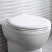Roper Rhodes Neutron Soft Close Toilet Seat profile small image view 3 