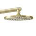 AQUAS AquaMax Flex Manual Smart 9.5KW Brushed Brass Electric Shower profile small image view 3 