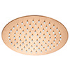 Arezzo Round 200mm Brushed Bronze Fixed Shower Head profile small image view 1 