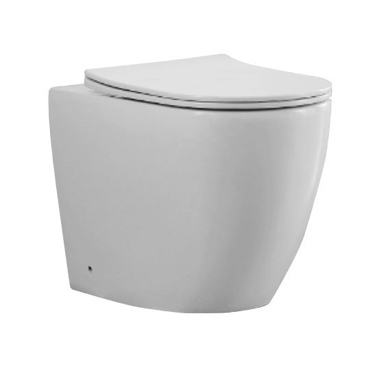BagnoDesign Envoy Rimless Back to Wall Toilet with Seat