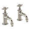 Arcade Cloakroom Basin Pillar Taps with Tap Handles - Nickel - ARC36 profile small image view 1 