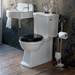 Arcade Full Back to Wall Close Coupled Traditional Toilet - Lever Flush profile small image view 3 