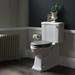 Arcade Full Back to Wall Close Coupled Traditional Toilet - Lever Flush profile small image view 2 