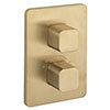 Crosswater Atoll/ Glide II Marvel Crossbox 1 Outlet Trim & Levers - Brushed Brass profile small image view 1 