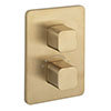 Crosswater - Atoll/Glide II/Marvel Crossbox 3 Outlet Trim & Levers - Brushed Brass profile small image view 1 