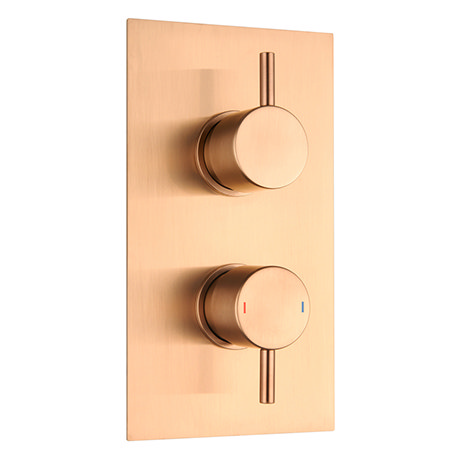 Arezzo Brushed Bronze Round Modern Twin Concealed Shower Valve with Diverter