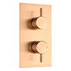 Arezzo Brushed Bronze Round Modern Twin Concealed Shower Valve with Diverter profile small image view 1 