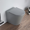 Arezzo Matt Grey Rimless Back to Wall Toilet incl. Soft Close Seat profile small image view 1 