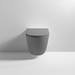 Arezzo Matt Grey Rimless Wall Hung Toilet incl. Soft Close Seat profile small image view 3 