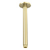 Arezzo 200mm Brushed Brass Round Ceiling Shower Arm profile small image view 1 