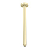 Arezzo 300mm Brushed Brass Round Ceiling Shower Arm profile small image view 1 